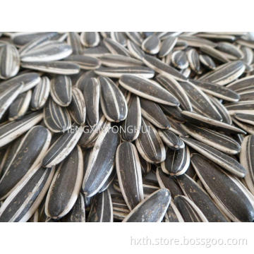 Sunflower Seeds 601/ Sunflower Inshells 601